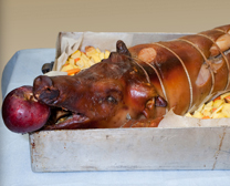 porchetta open house